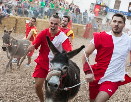 Cocconato d’Asti si prepara al Palio degli Asini del cinquantenario