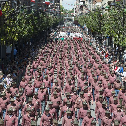Adunata Nazionale Asti 2016 (Foto di Matto774 - Template:Marco Rolando Associazione Nazionale Alpini, CC BY-SA 4.0, https://commons.wikimedia.org/w/index.php?curid=54694393)