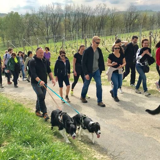 La camminata di Agliano