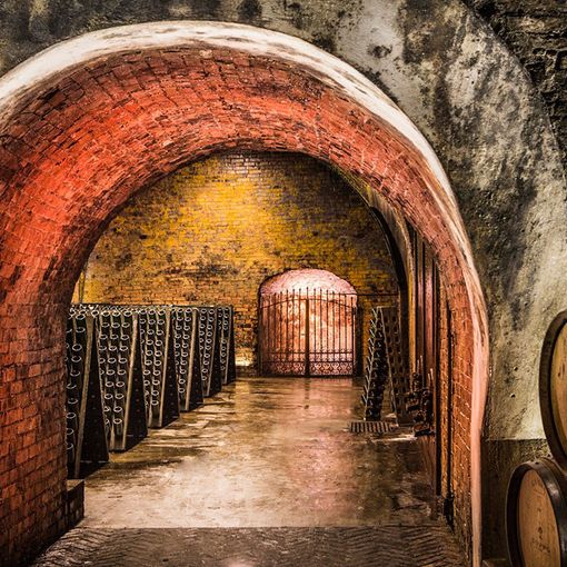 Uno scorcio delle splendide cantine Coppo (immagine tratta dal sito dell'azienda)