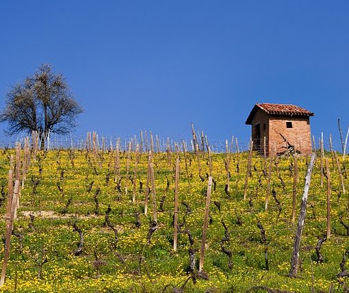 Viviamo in un posto bellissimo: viaggio nel tempo tra le colline Unesco
