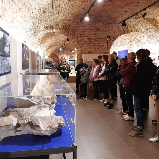 Docenti in visita al museo