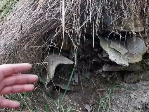 L’ennesima discarica abusiva nascondeva lastre che potrebbero essere in eternit