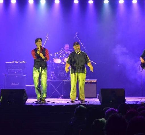 I Farinei in concerto (immagine tratta dal sito ufficiale della band)