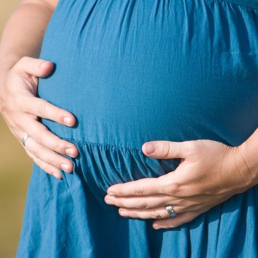 Urta una donna incinta e fugge, la Municipale sulle tracce del pirata della strada