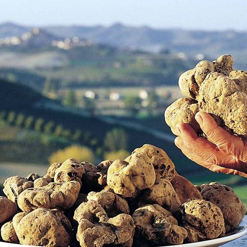 Canelli è in festa per il fine settimana dedicato alla Fiera del Tartufo