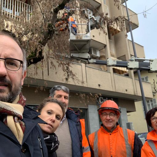 E’ iniziata la potatura delle piante lungo corso Torino, l’annuncio (social) del sindaco Rasero