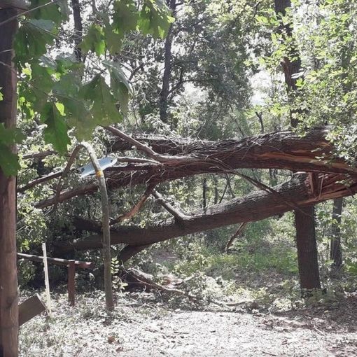 Emergenza maltempo, gravi danni anche al centro di recupero Lipu di Tigliole