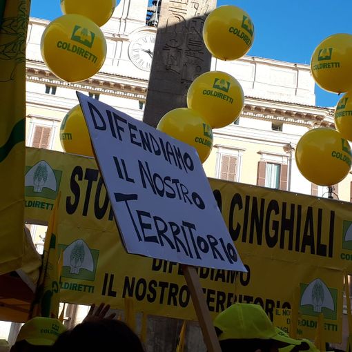 L’allarme di Coldiretti: ormai nei campi più animali selvatici che lavoratori