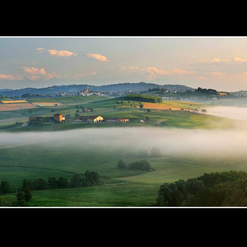 “Tenuta Montemagno”, storia di un'impresa familiare vocata all’innovazione