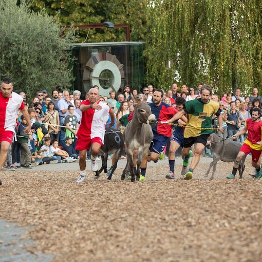 Cocconato si prepara ad ospitare una ricca edizione 2019 del Palio degli asini