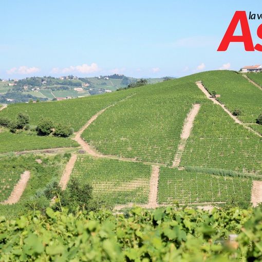 Prossime al via le misure di sostegno alla viticultura piemontese
