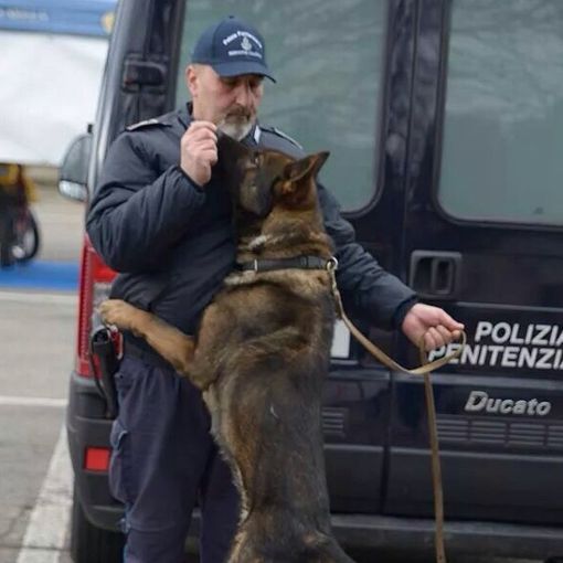Dai canili al lavoro con la Polizia penitenziaria. Ad Asti la scuola nazionale per cani poliziotto (FOTOGALLERY)