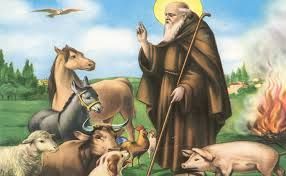 Un'immagine raffigurante Sant'Antonio Abate, patrono e protettore degli animali.