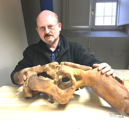 Piero Damarco ritratto con il sirenide di Montiglio