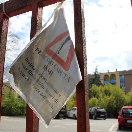 Angela Motta: &quot;E' tutelata la sicurezza al Parco di Rio Crosio?&quot;