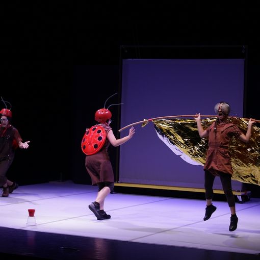 Alla scoperta del mondo degli insetti grazie al nuovo appuntamento con le ‘Domeniche a teatro’