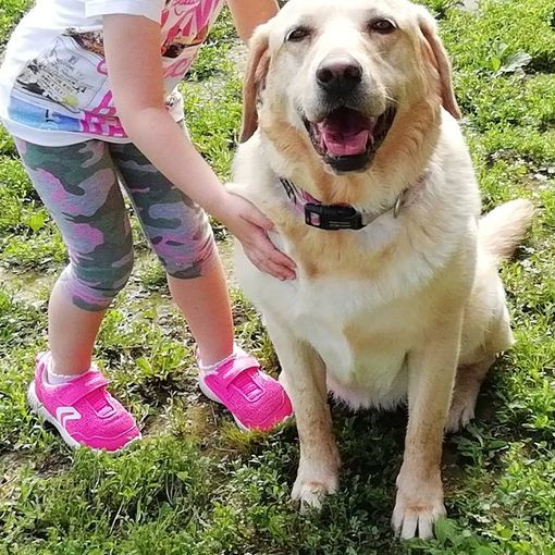 Asti: aperte le iscrizioni per &quot;Con-fido nel Teatro&quot; per chi ama gli animali