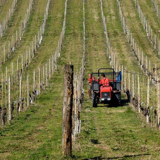 Il Piemonte è la quarta regione più virtuosa del Centro-Nord per quanto riguarda i pagamenti previsti dal Piano di sviluppo rurale