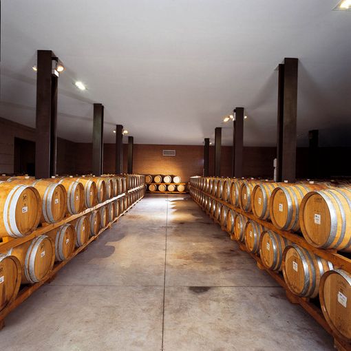 Vini d’eccellenza e le splendide colline Unesco nel fine settimana della Viticoltori Associati di Vinchio e Vaglio Serra