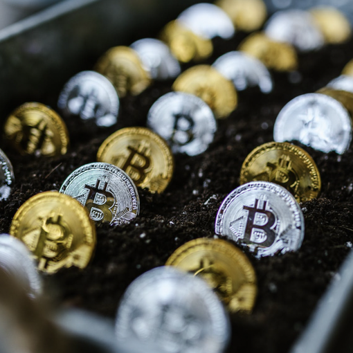 Criptovalute: Il Trend Globale degli Investimenti e l'Interesse Crescente degli Italiani