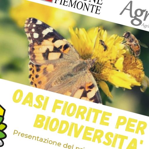 Invito Conferenza Stampa “Oasi fiorite per la biodiversità”