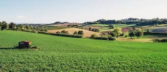 Pubblicato il Bando del G.A.L. Terre Astigiane sui Progetti Integrati di Filiera