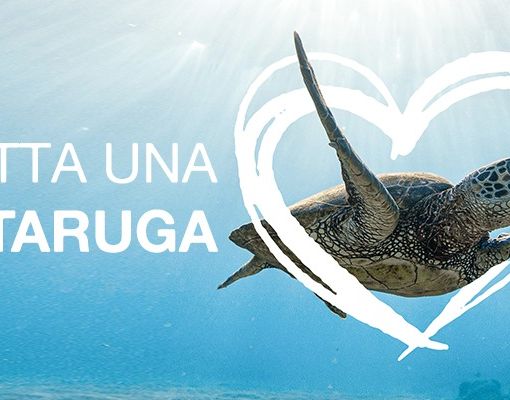 L’associazione Plastic Free Odv Onlus lancia il progetto “Adotta una tartaruga”