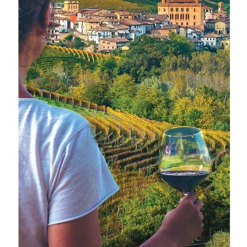 Il territorio di Langhe Monferrato Roero protagonista della campagna di promozione dell'Italia nel mondo