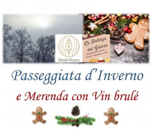 Passeggiata domenicale immersi nella bellezza della Riserva Naturale di Valleandona