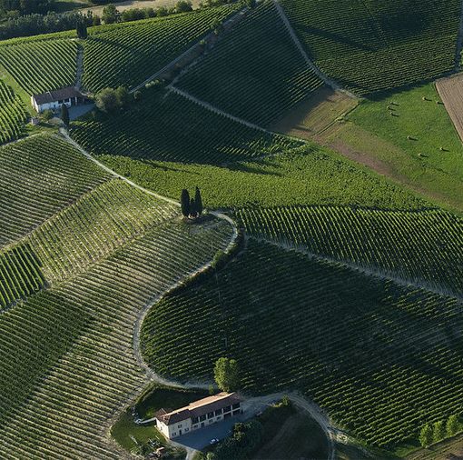 Luzzati, Nespolo e gli altri artisti in esposizione all’Art Park La Court vi attendono a Castelnuovo Calcea