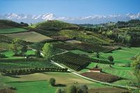 Le collinie vinicole patrimonio Unesco