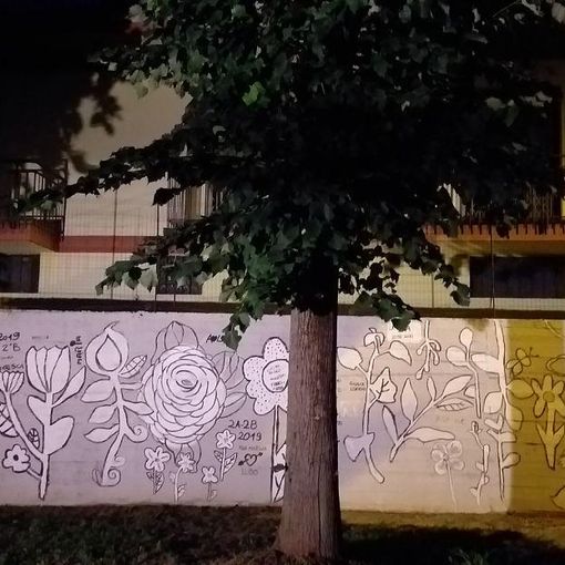 San Damiano: Cultura in movimento… in via Cici