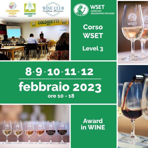 All'Enotecamica di Asti il corso di 3° livello WSET Award dedicato al mondo del vino