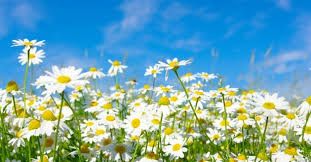 Gli E-venti di primavera &quot;soffiano&quot; bellezza