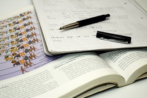 Voucher Scuola, Cane (Lega) risponde alle accuse della deputata dem Bonomo: &quot;Chiorino ha già chiarito, è stato l'errore umano di un funzionario&quot;