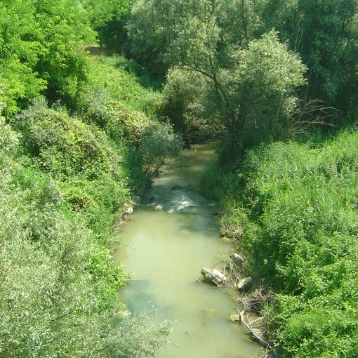 Un'immagine del torrente Versa