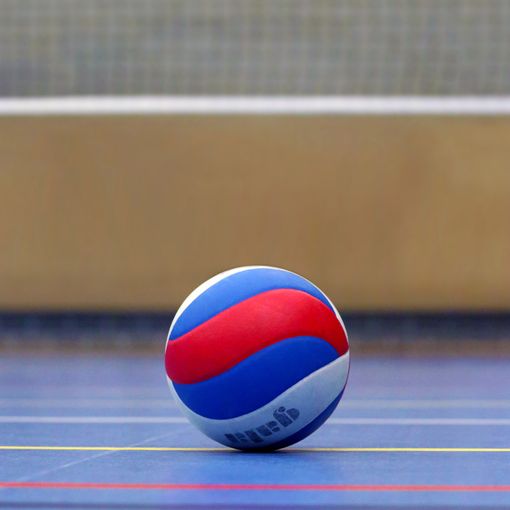 Pallavolo