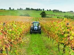 Dall'Inps indicazioni per gli adempimenti delle aziende agricole