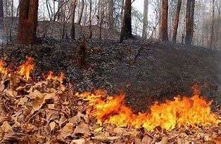 Campagna invernale antincendi boschivi: prosegue l'attività della Regione