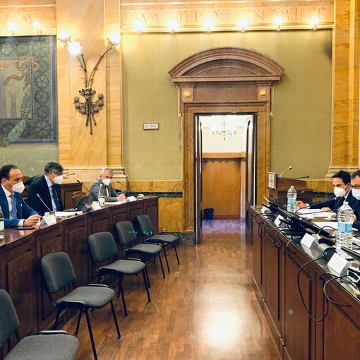 Peste suina: Cirio incontra Patuanelli e Speranza. Con la Liguria si chiedono aiuti e ristori