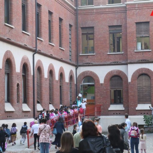 Dai disegni della scuola &quot;Dante&quot; di Asti, una lezione di vita. Un'elettrice fa i complimenti agli insegnanti