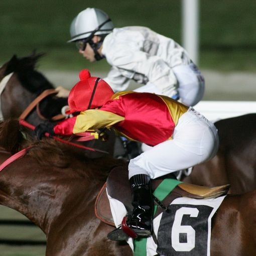 Un fine settimana diverso: scegli Varese con il “Gran Premio” dedicato all'ippica e le sue tante mostre e attrazioni