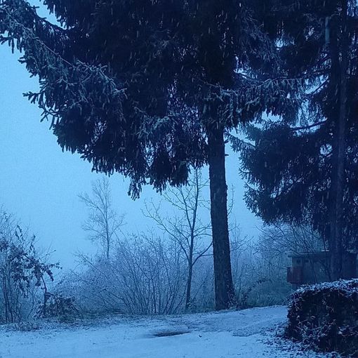 Albugnano oggi pomeriggio. (Foto Laura canale Telegram, Dati Meteo Asti)