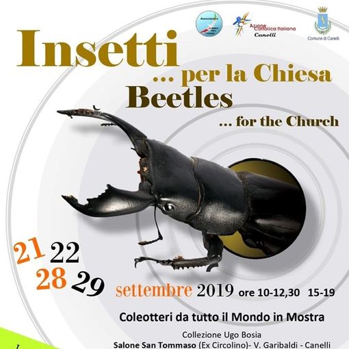 Nel Salone San Tommaso di Canelli due mostre in contemporanea