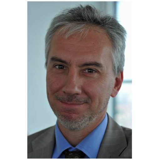 Massimo Gaudina