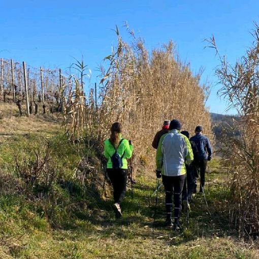 Nuovi appuntamenti con le camminate del Monferrato Nordic Walking