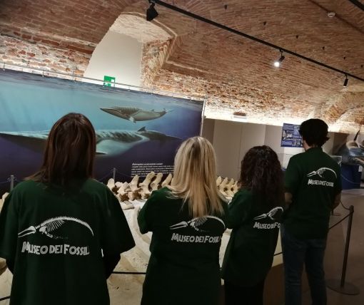 Servizio civile con il Parco Paleontologico Astigiano