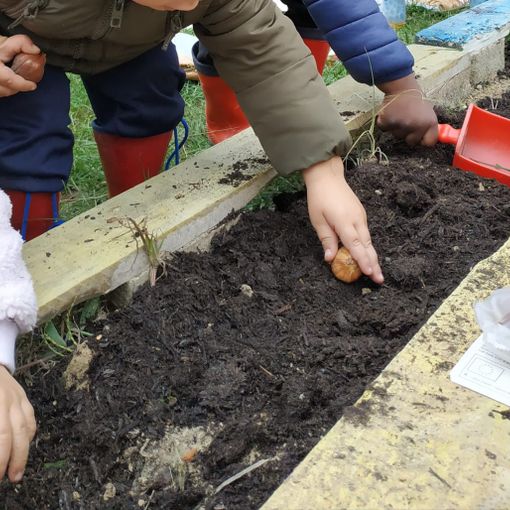 Ad Asti i nidi di infanzia festeggiano l'albero amico e alleato dell'uomo