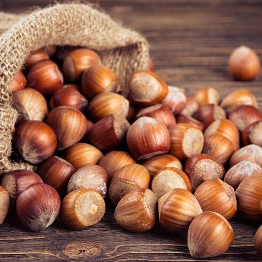 Nuovi prezzi per le nocciole fornite dalla Camera di Commercio di Asti